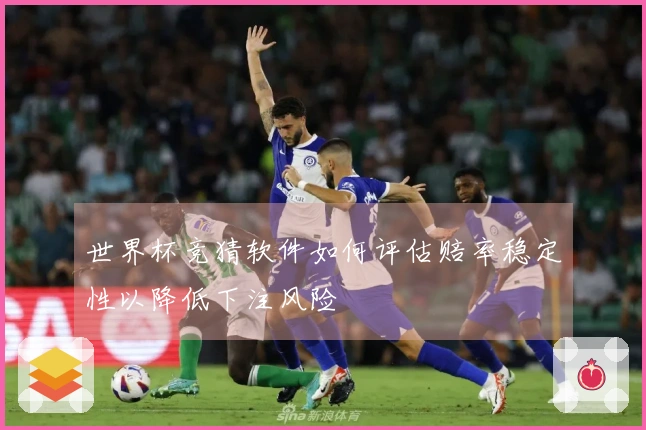 世界杯竞猜软件如何评估赔率稳定性以降低下注风险