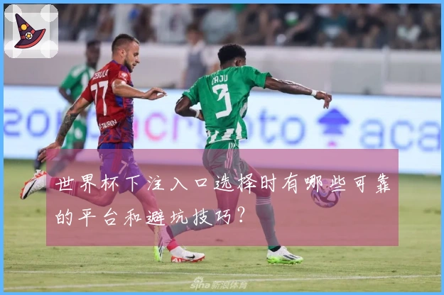 世界杯下注入口选择时有哪些可靠的平台和避坑技巧？