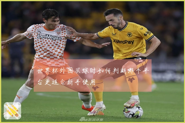 世界杯外围买球时如何判断哪个平台更适合新手使用