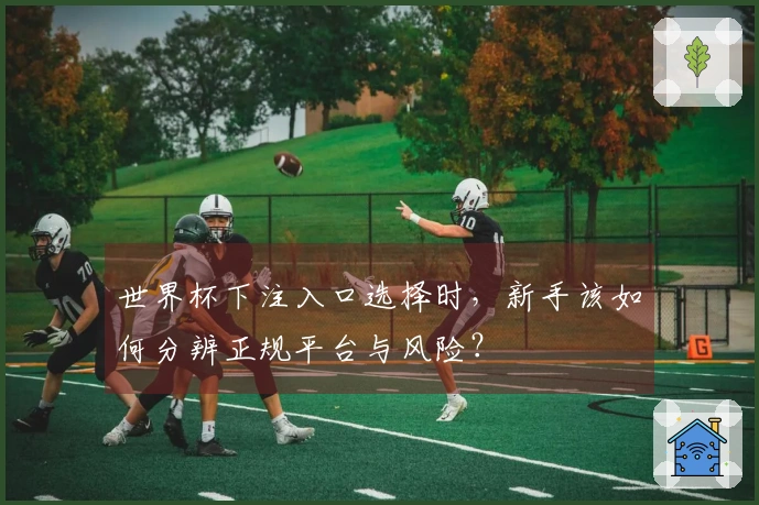 世界杯下注入口选择时，新手该如何分辨正规平台与风险？
