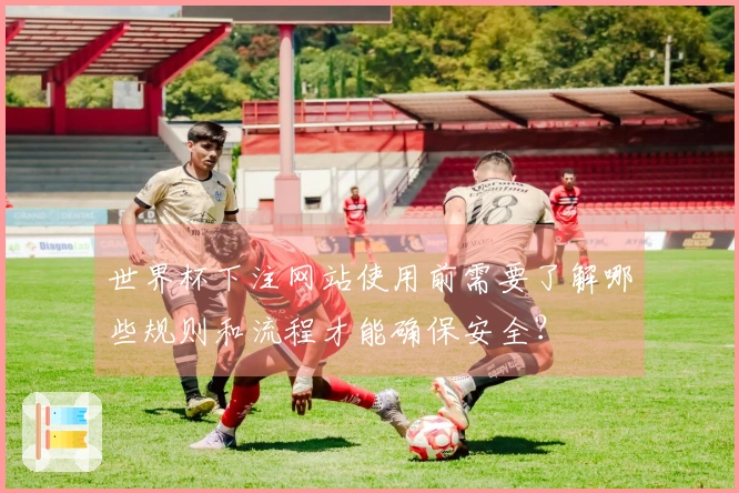世界杯下注网站使用前需要了解哪些规则和流程才能确保安全？