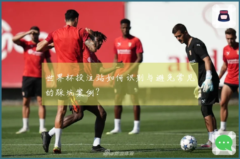 世界杯投注站如何识别与避免常见的踩坑案例？
