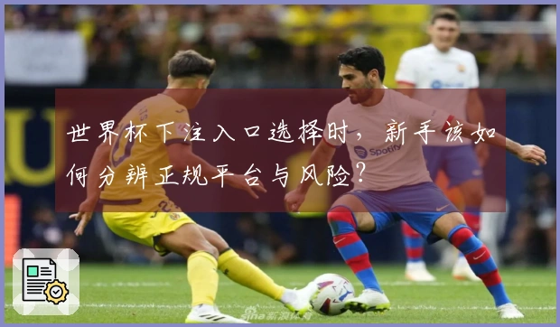 世界杯下注入口选择时，新手该如何分辨正规平台与风险？
