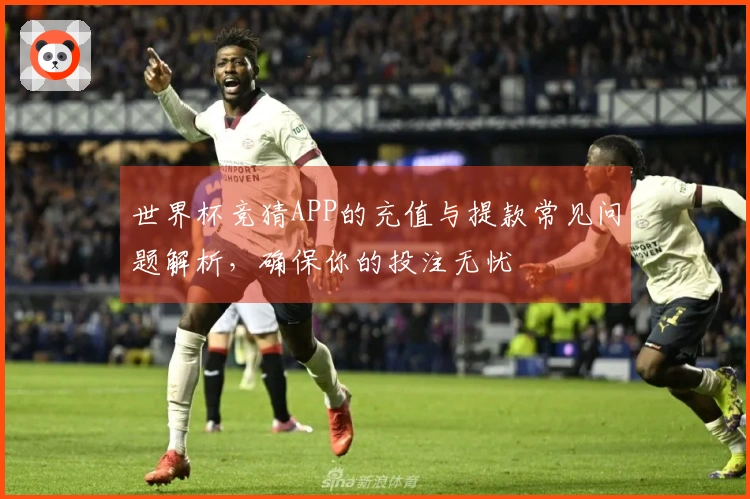 世界杯竞猜APP的充值与提款常见问题解析，确保你的投注无忧
