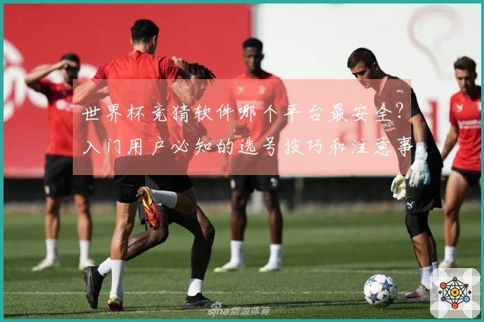 世界杯竞猜软件哪个平台最安全？入门用户必知的选号技巧和注意事项