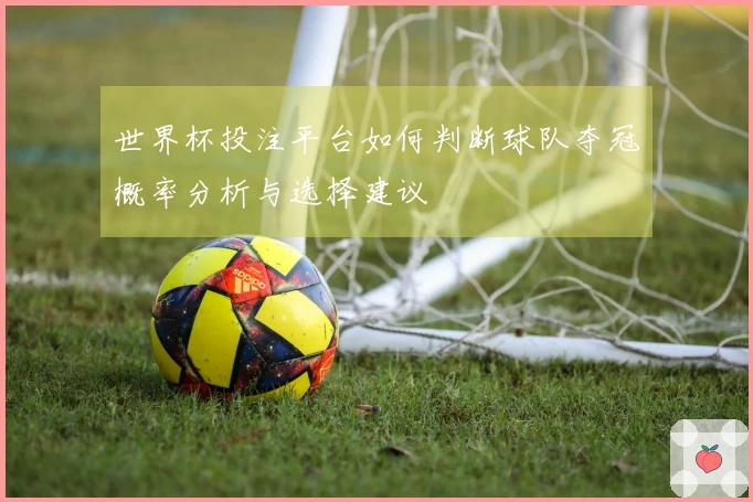 世界杯投注平台如何判断球队夺冠概率分析与选择建议
