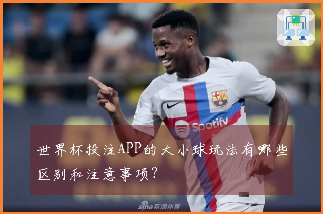 世界杯投注APP的大小球玩法有哪些区别和注意事项？