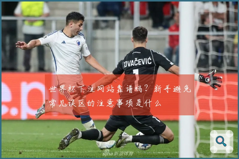 世界杯下注网站靠谱吗？新手避免常见误区的注意事项是什么