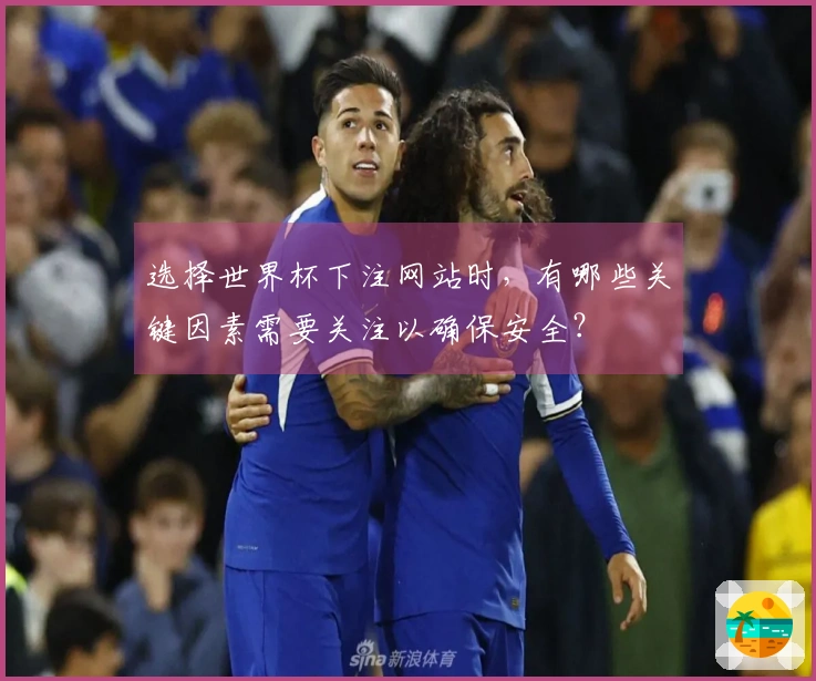 选择世界杯下注网站时，有哪些关键因素需要关注以确保安全？