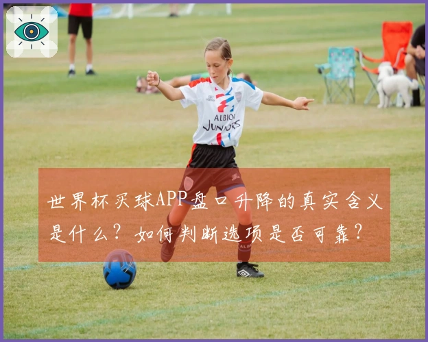 世界杯买球APP盘口升降的真实含义是什么？如何判断选项是否可靠？