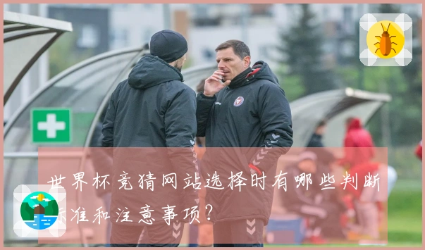 世界杯竞猜网站选择时有哪些判断标准和注意事项？