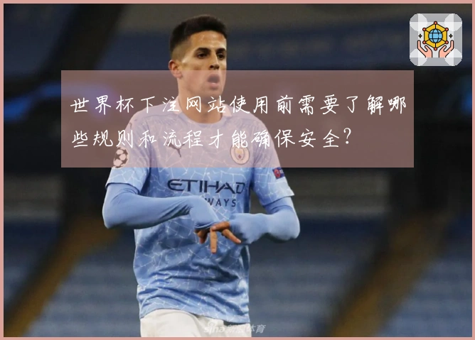 世界杯下注网站使用前需要了解哪些规则和流程才能确保安全？
