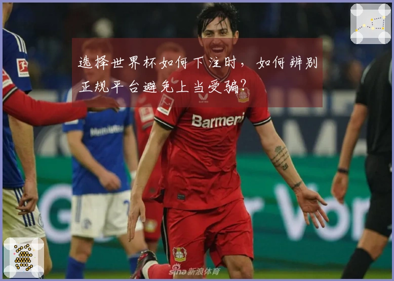 选择世界杯如何下注时，如何辨别正规平台避免上当受骗？