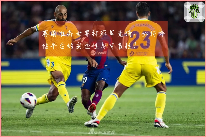 赛前准备世界杯冠军竞猜，如何评估平台的安全性与可靠性？