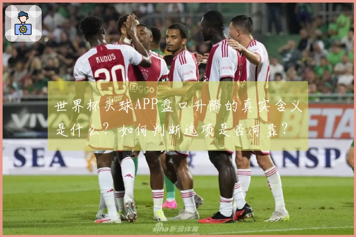 世界杯买球APP盘口升降的真实含义是什么？如何判断选项是否可靠？