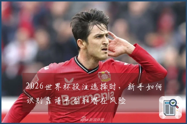 2026世界杯投注选择时，新手如何识别靠谱平台和潜在风险