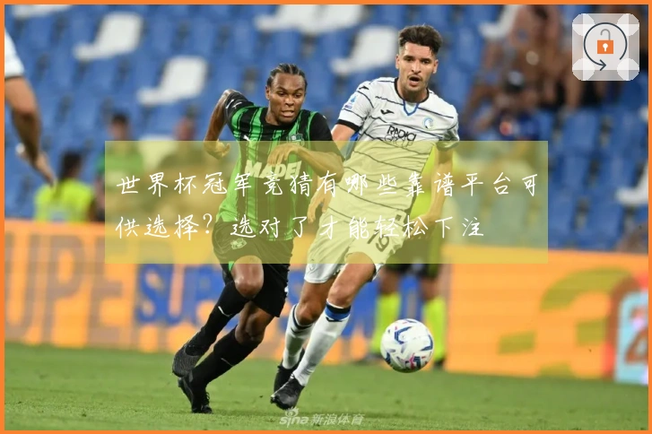 世界杯冠军竞猜有哪些靠谱平台可供选择？选对了才能轻松下注