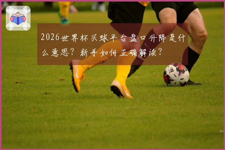 2026世界杯买球平台盘口升降是什么意思？新手如何正确解读？