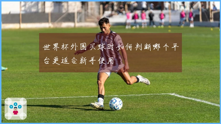 世界杯外围买球时如何判断哪个平台更适合新手使用