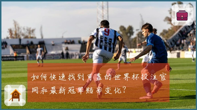 如何快速找到可靠的世界杯投注官网和最新冠军赔率变化？