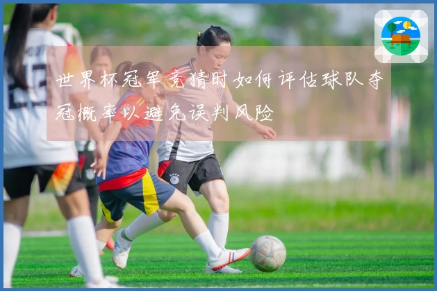 世界杯冠军竞猜时如何评估球队夺冠概率以避免误判风险